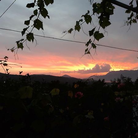 Apartman Laki Apartment Kotor Luaran gambar